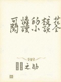 可怜的校花免费阅读小说全文封面