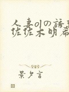 人妻olの诱惑佐佐木明希300部封面