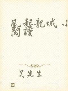 风起龙城 小说阅读