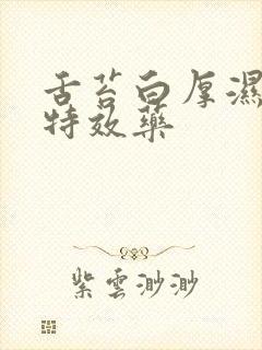 舌苔白厚湿气重特效药