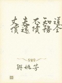 丈夫不知道妻子偿还债务全集观看封面