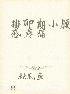 排卵期小腹下坠感疼痛