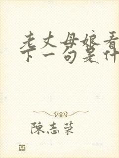 老丈母娘看女婿下一句是什么封面