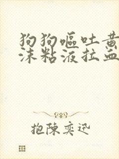 狗狗呕吐黄水泡沫粘液拉血