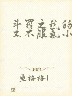 斗罗之我的系统又不服气小说