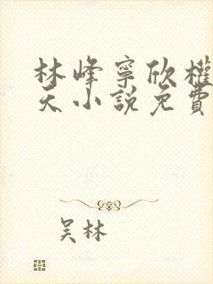 林峰宁欣权势滔天小说免费阅读