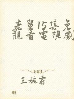 老舅15集免费观看电视剧