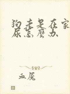 狗老是在家里乱尿怎么办