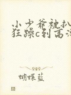 小少爷被扒开腿狂躁c到高潮小说