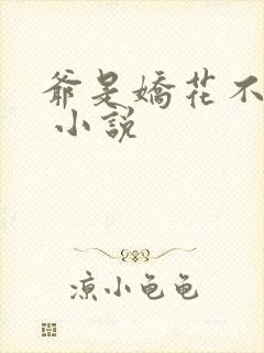 爷是娇花不种田 小说封面