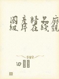 国产精品麻豆一级片在线观看