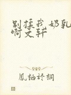 别揉我奶乳嗯～啊文轩