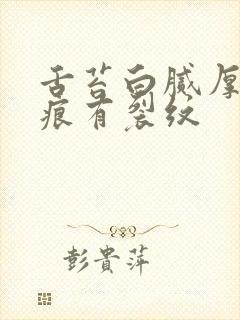 舌苔白腻厚有齿痕有裂纹