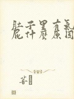 肚子里有气老放屁什么原因