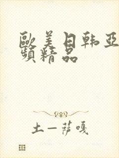 欧美日韩亚洲视频精品