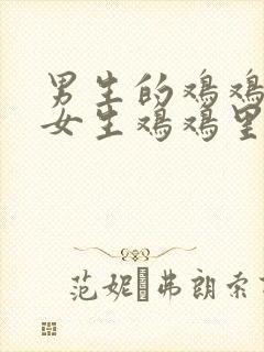 男生的鸡鸡插进女生鸡鸡里