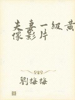 夫妻一级黄色录像影片