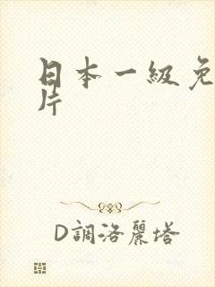 日本一级免费淫片