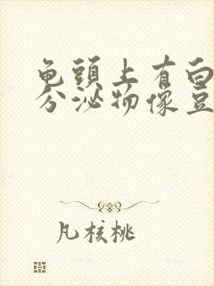 龟头上有白色的分泌物像豆腐渣一样