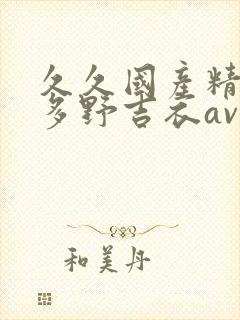 久久国产精品波多野吉衣av