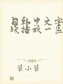 日韩中文字幕在线播放一区