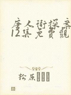 唐人街探案网剧12集免费观看