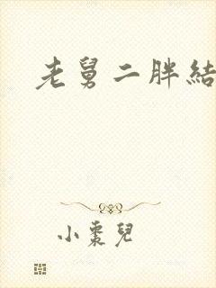 老舅二胖结局