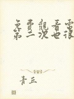 免费观看电视剧第二次也很美