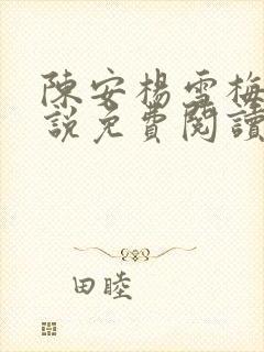 陈安杨雪梅的小说免费阅读