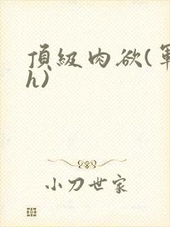 顶级肉欲(军高h)