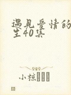 遇见爱情的利先生40集