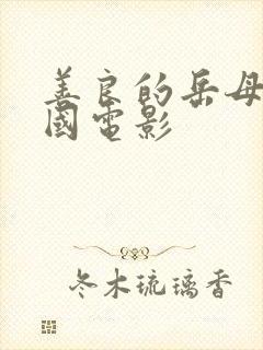 善良的岳母 韩国电影