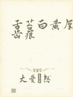 舌苔白黄厚腻有齿痕