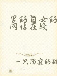 男的日女的视频网站在线