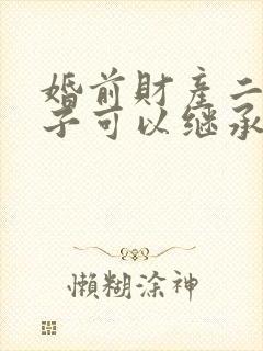 婚前财产二婚孩子可以继承吗