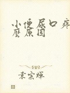 小便尿口疼是什么原因封面