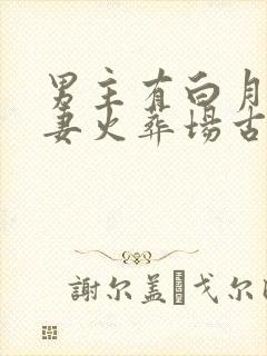 男主有白月光追妻火葬场古言