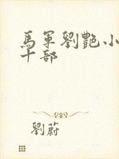 马军刘艳小说第十部