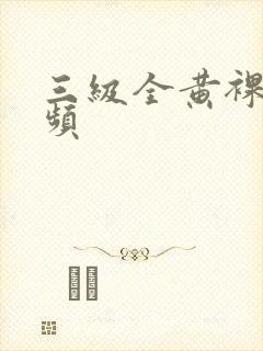 三级全黄裸体视频