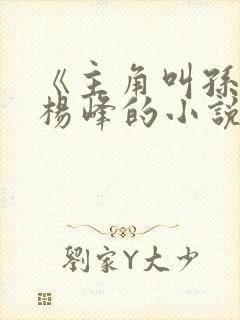 《主角叫孙梦露杨峰的小说》