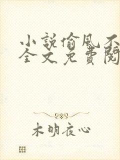 小说偷风不偷月全文免费阅读封面