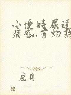 小便时尿道口刺痛感,有灼热感