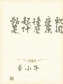 勃起后疲软的快是什么原因