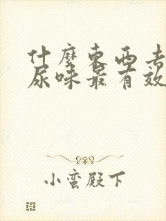 什么东西去老鼠尿味最有效封面