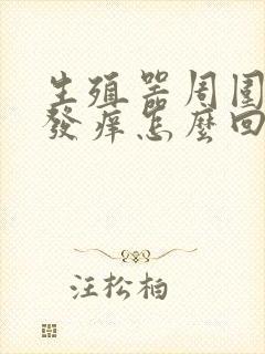 生殖器周围皮肤发痒怎么回事封面