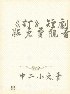 《打》短剧完整版免费观看