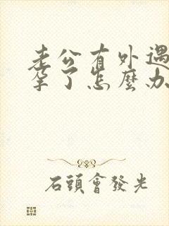 老公有外遇还怀孕了怎么办