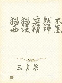 猫猫突然不吃东西没精神怎么回事封面