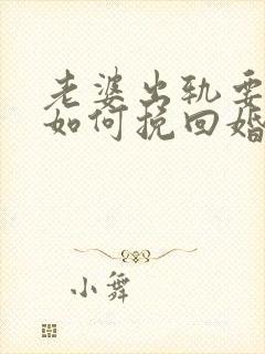 老婆出轨要离婚如何挽回婚姻封面