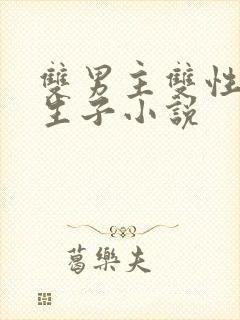 双男主双性美人生子小说